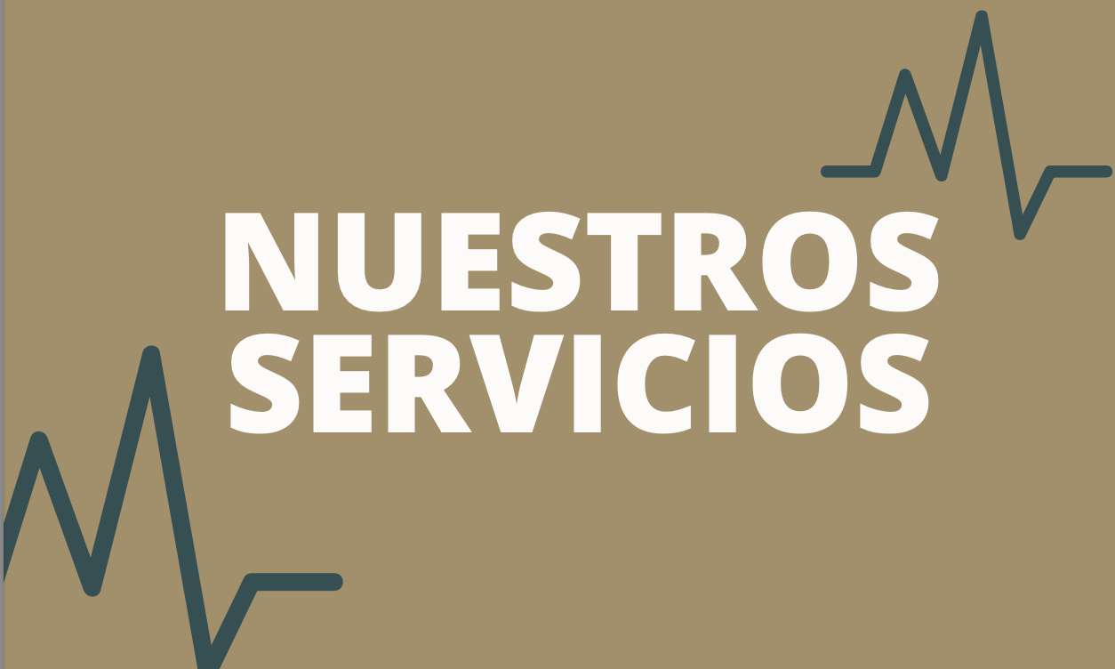 Descripción de la imagen